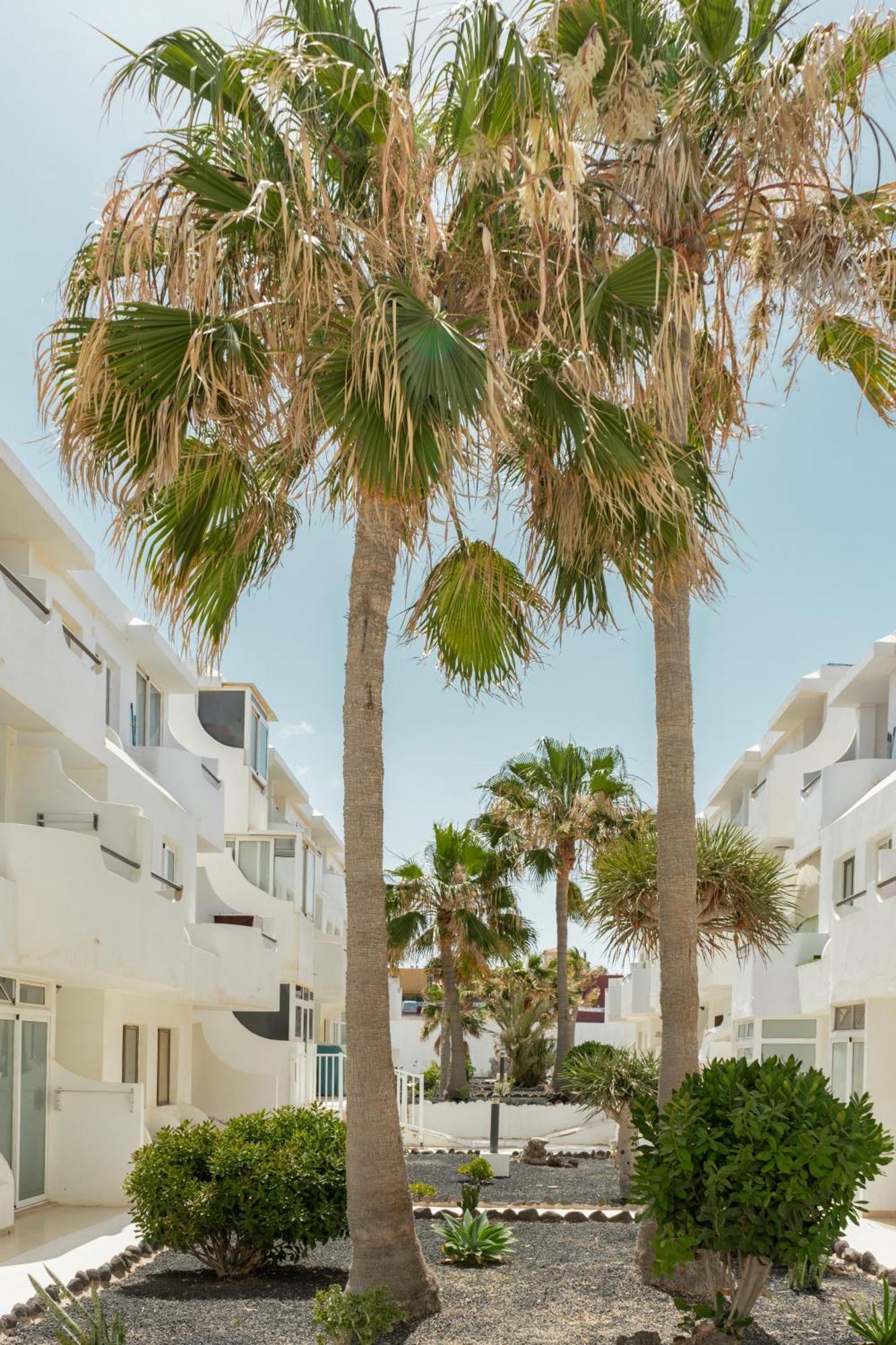 Casa Maja Apartment คอสตา เด อันตีกัว ภายนอก รูปภาพ